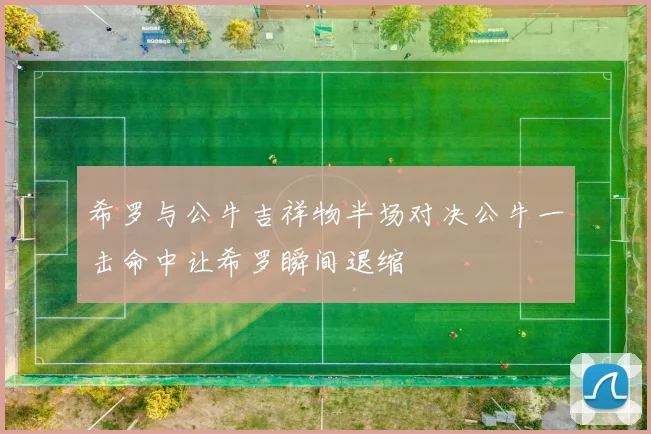 希罗与公牛吉祥物半场对决公牛一击命中让希罗瞬间退缩